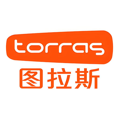 Torras wireless charger